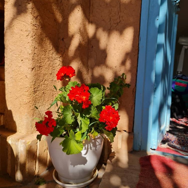نمونه شماره4