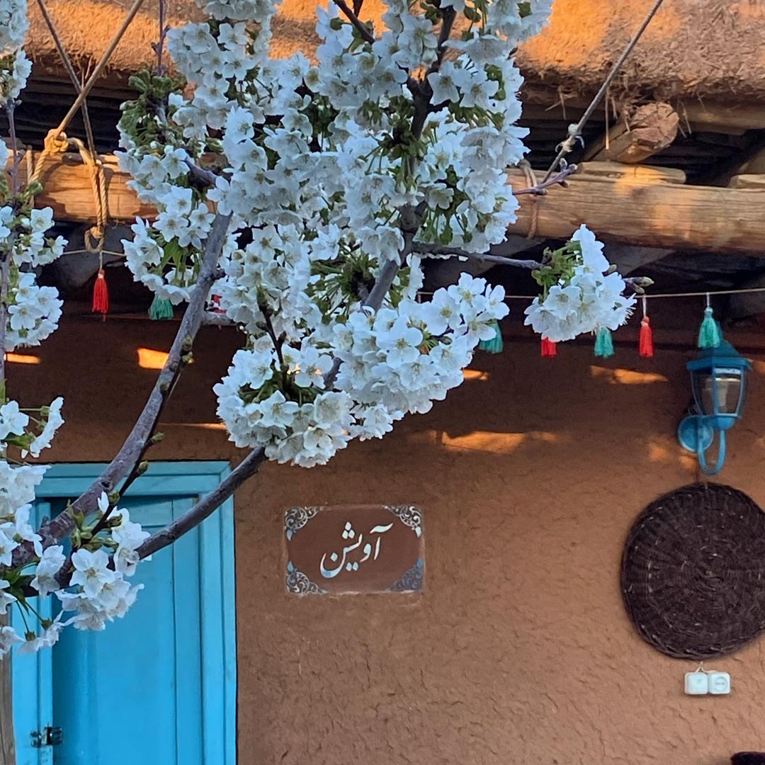 نمونه شماره5